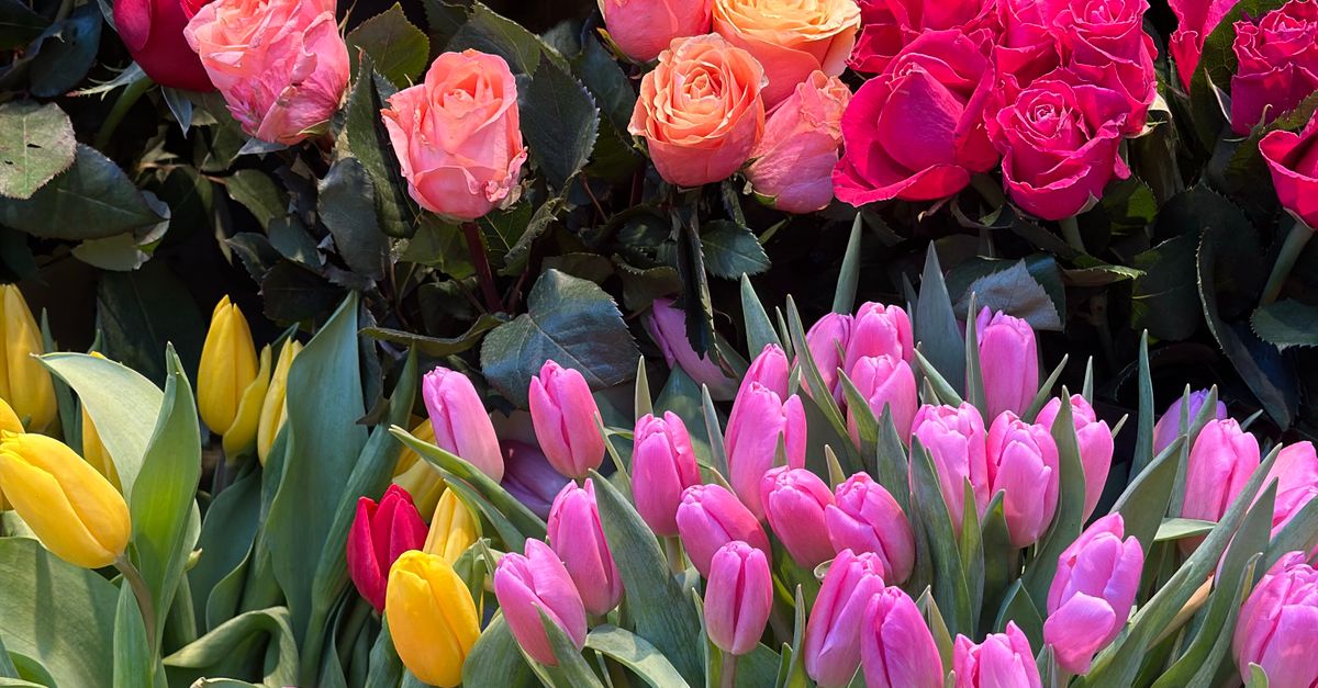 Best Practices for Sourcing Native Australian Flowers