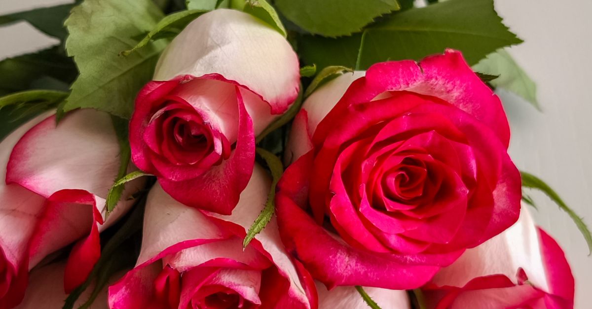 Creating Comfort with Thoughtful Funeral Flower Gifts