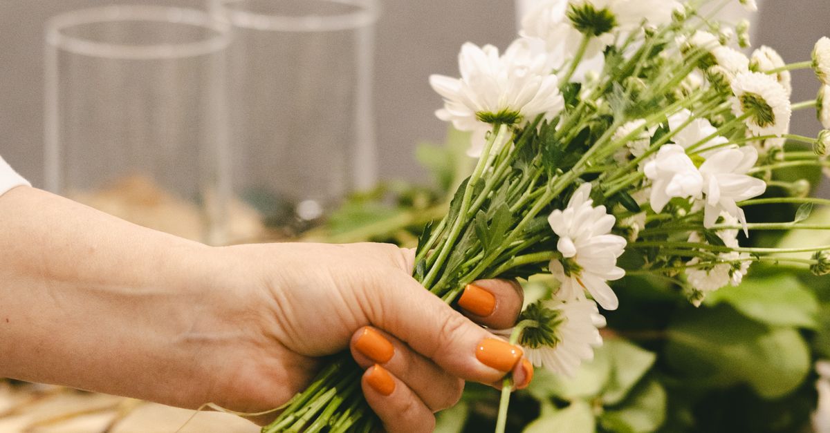 Discovering Native Spring Flowers in Newcastle
