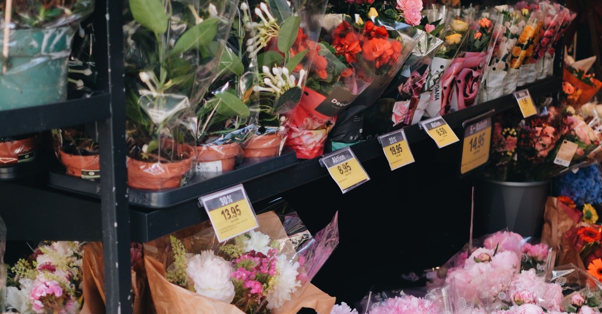 The Role of Native Flowers in Australian Ecosystems