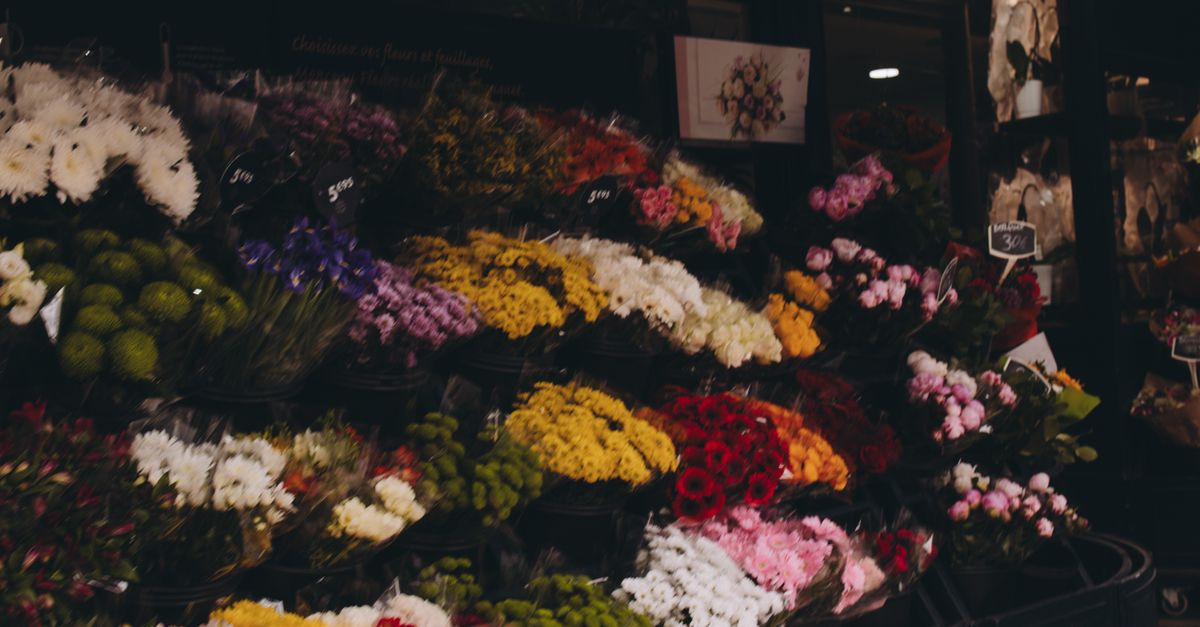 Trends in Bridal Bouquets for the Modern Newcastle Bride