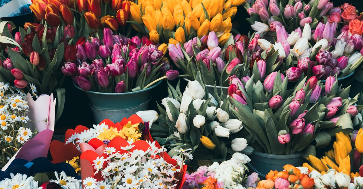 Vibrant Bouquets for Friendship Day